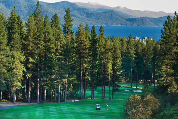 golf course with pine trees mountains in the background